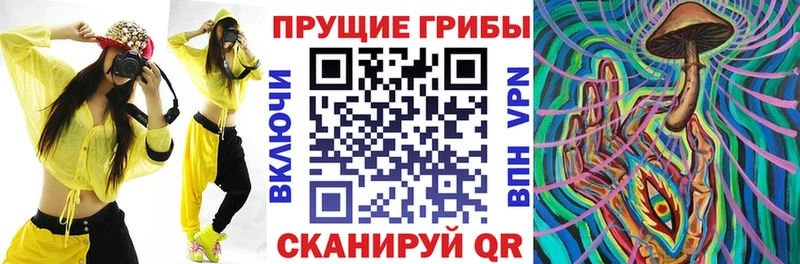 Псилоцибиновые грибы прущие грибы  Купить  Кизляр 